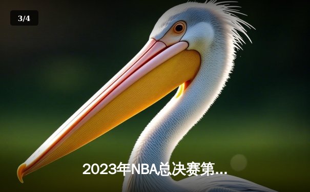2023年NBA总决赛第六场：掘金力克热火首夺总冠军，约基奇荣膺FMVP - 3